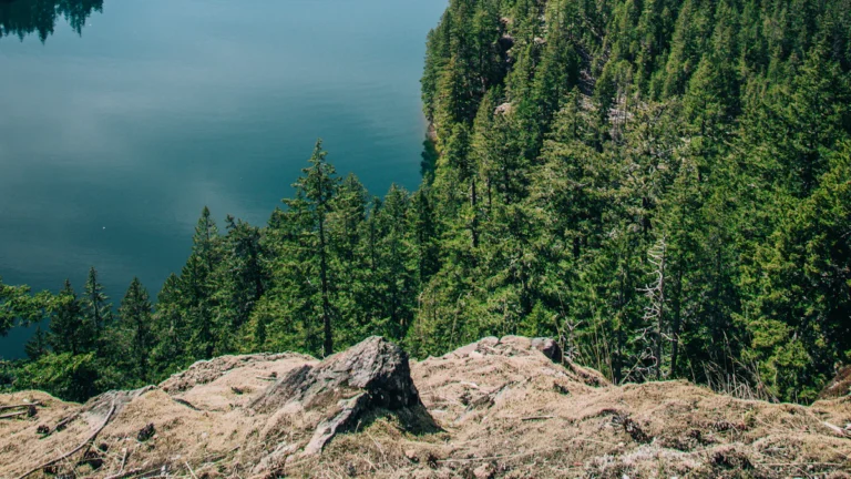 Data Science and Business Analytics