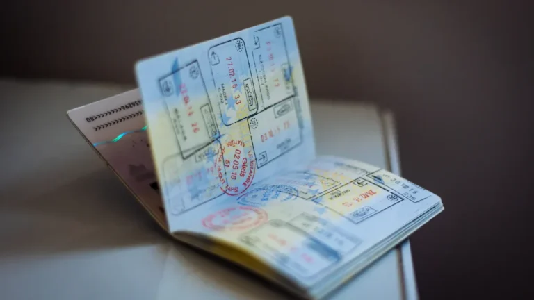 Types of Post Study Work Visas in Ireland