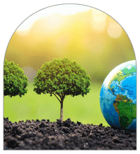 Environmental Studies