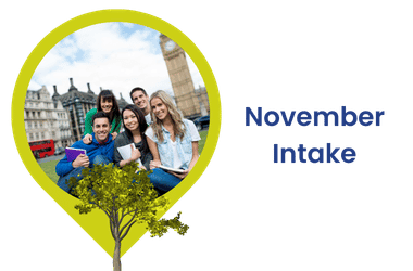 November Intake in Australia